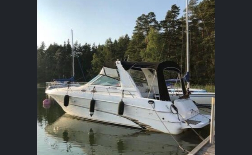 Sea Ray 310 Sundancer-kuva-17